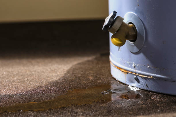 Best 24/7 water damage repair  in Black Point Green Point, CA