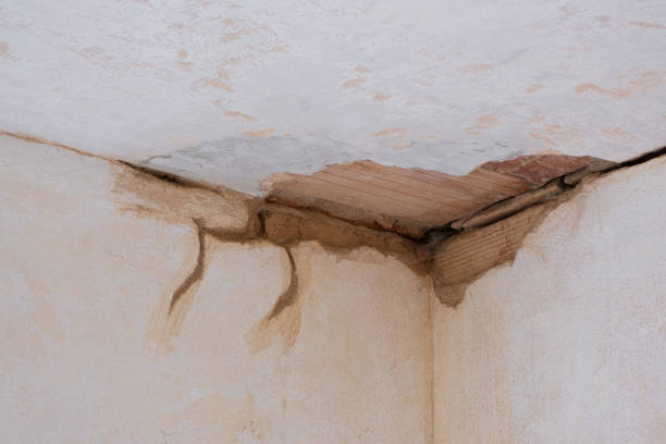 Best Flood damage cleanup  in Black Point Green Point, CA